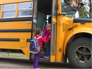 Fall Routine School Bus