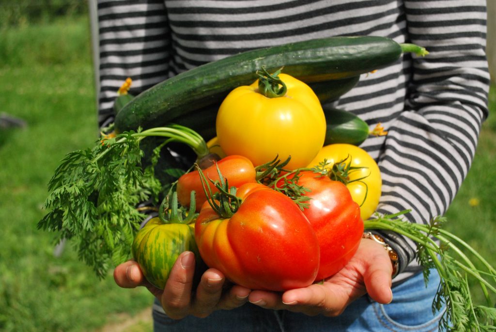 Grow Your Own Food