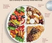 Canada’s Food Guide cover image of a healthy plate of food