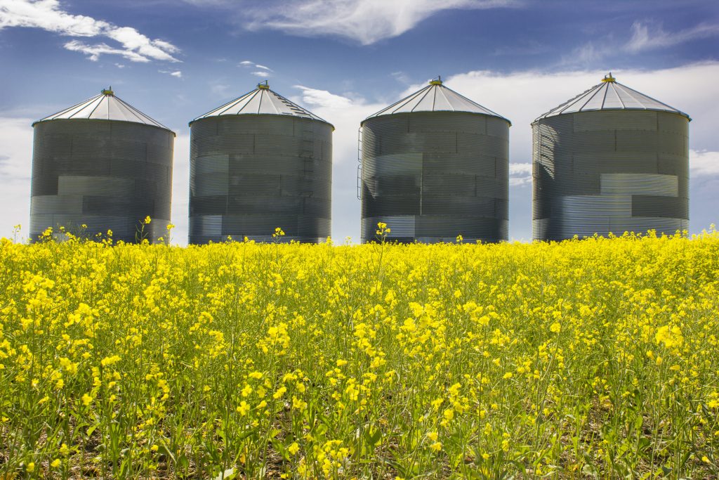 Transition to the Canadian Food System