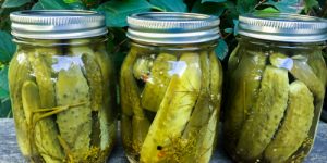 Introduction to Canning Food