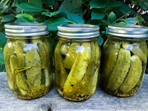 How to Preserve, Pickle and Jar Food with Simple Truth® - Foods Co.