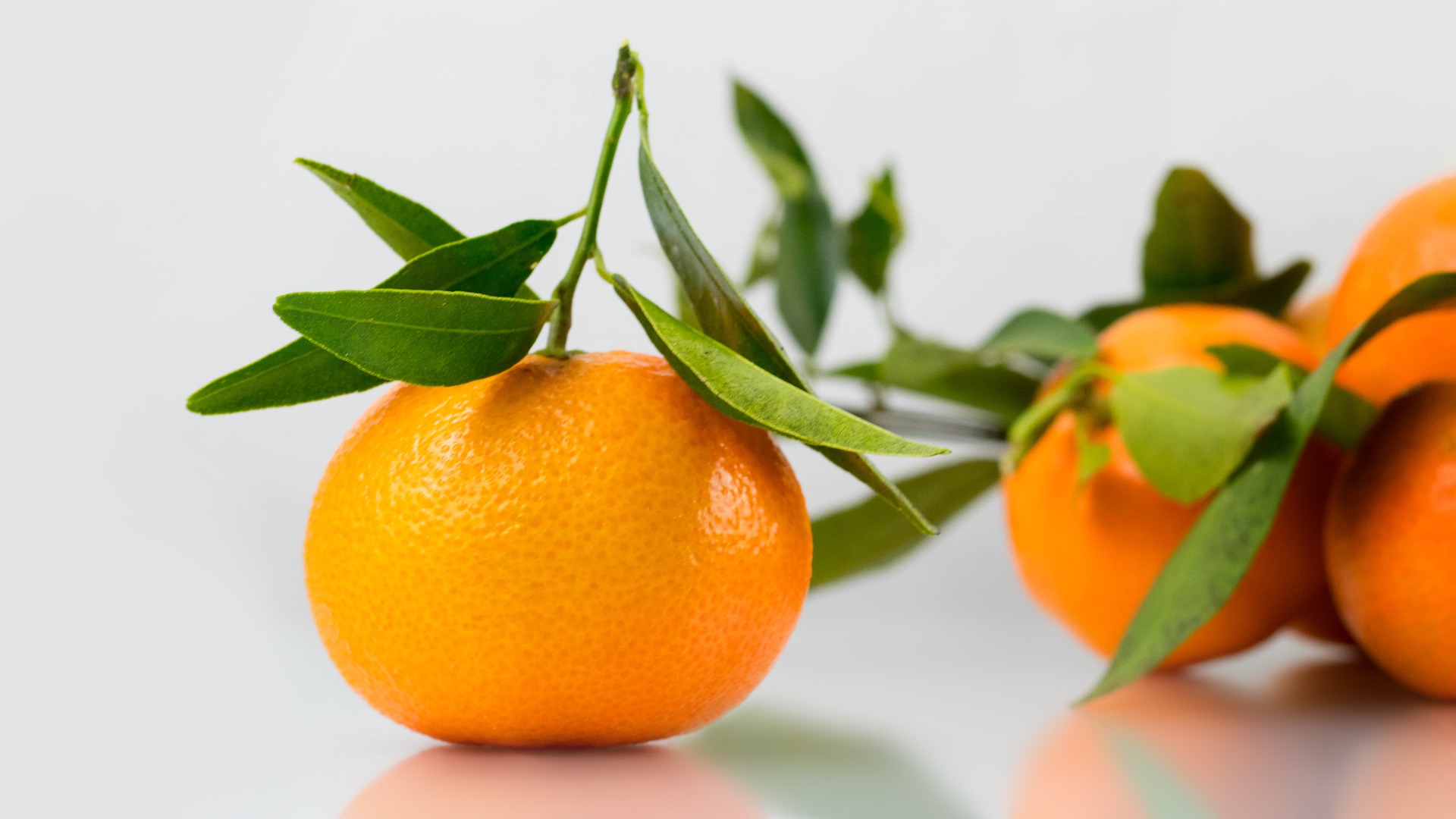 difference between mandarins and tangerines